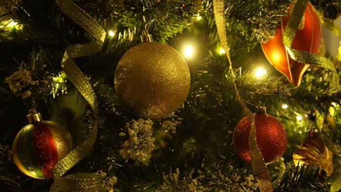 705d213d-cdf9-4010-b15b-57596d8876be