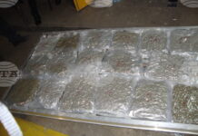 Русенската прокуратура обвини мъж за контрабанда на 82 кг марихуана за над 1,3 млн. лева