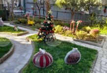 Ученици от Основно училище „Кочо Мавродиев“ украсиха къщата музей „Ванга“ в Петрич