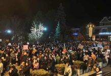 Глобиха 100 лв. хулигана, хвърлил пиратка на протеста в Търново