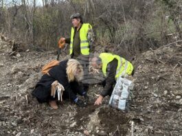 Ученици и доброволци се включиха в залесителна кампания за възстановяване на общински горски територии край Шипка