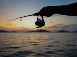 12-годишно момче в САЩ хвана костур с размер на килограм и постави световен рекорд.