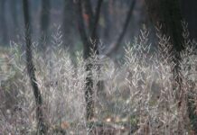 БТА :: Прогноза за времето