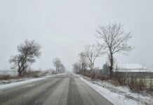 Всички пътища в област Добрич са обработени и почистени