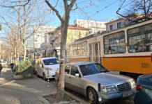 Паднало дърво в района на Семинарията временно затрудни движението на трамваи 10 и 15 в столицата