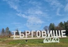 От обявените общо 51 свободни работни места в област Търговище само три са за висшисти