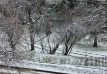 Сняг вали в цялата Великотърновска област, но към момента няма затворени пътни участъци и въведени ограничения