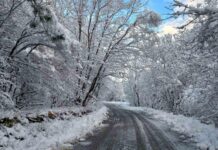 ВИЕЛИЦА В ДОБРУДЖА