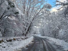 ВИЕЛИЦА В ДОБРУДЖА