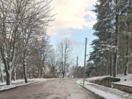 Общо шест снегопочистващи машини започнаха обработка със сол на общинската пътна мрежа в Шуменско