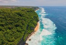 Японци измислиха как да правят чиста пластмаса от мръсни бактерии