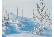 Оранжев код за сняг, поледици и силен вятър в четири области в страната на 11 януари