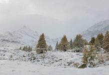 Лоши са условията за туризъм в планините