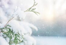 Превалявания от дъжд и сняг ни очакват на 31 януари