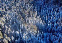 Лоши са условията за туризъм в планините, съобщиха от Планинската спасителна служба