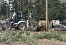 Паднали дървета в Боровец са нанесли щети върху три автомобила, туристи са извозени от последната лифт станция до курорта, каза Николай Стойнов