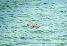 ПО ТРАДИЦИЯ В АЛБЕНА ЩЕ БЪДЕ ОТБЕЛЯЗАН ЙОРДАНОВДЕН НА 6 ЯНУАРИ