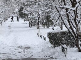 Сняг вали почти над цялата страна, ще продължи и през нощта до утре на обяд, при необходимост е възможно да се затварят отделни пътни участъци