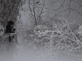 БТА :: Прогноза за времето