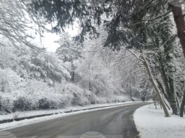 Общо 76 машини почистват и обработват пътищата в област Плевен