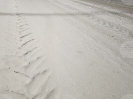 БТА :: Ограничава се движението на тежкотоварни автомобили по пътя Русе