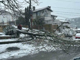 В цялата област Добрич обстановката е усложнена.Огромно задръстване на разклона за Кичево, посока Варна-Добрич
