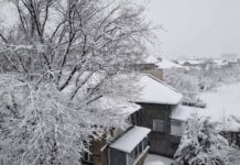 Обилният снеговалеж в Русенско доведе до проблеми с електрозахранването в две общини в областта, има затворени за камиони пътища