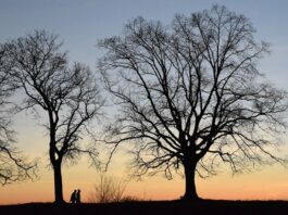 Разходки за тонус и настроение срещу депресии и неврози