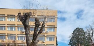 Със зарязване на лоза и конкурс за домашно вино във Вършец отбелязаха Трифон Зарезан