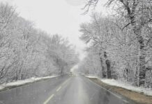 Пътищата в област Добрич са заледени, съобщиха от полицията