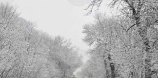 Пътищата в област Добрич са заледени, съобщиха от полицията