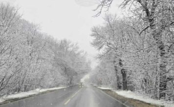 Пътищата в област Добрич са заледени, съобщиха от полицията