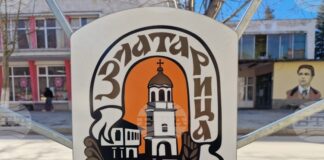 Общинският съвет в Златарица ще разгледа годишния план за ползване на дървесина от общинските горски територии