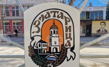 Общинският съвет в Златарица ще разгледа годишния план за ползване на дървесина от общинските горски територии