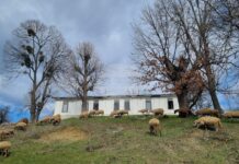 В община Антоново в 19 населени места живеят под десет души