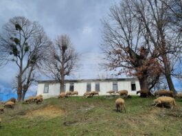 В община Антоново в 19 населени места живеят под десет души