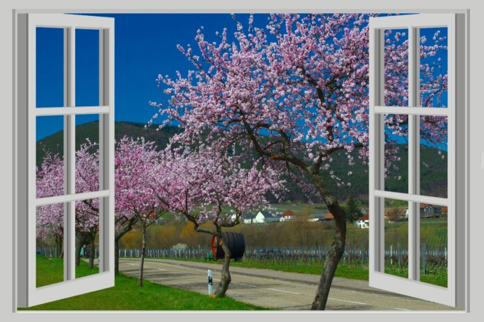 253724_wiosna_okno_droga_drzewa_wies