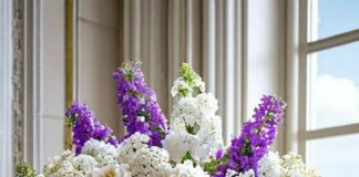 СВЕТСКА КЛЮКА: 5-10 МАРТ /ВИДЕОПОЗДРАВ/