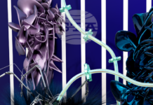 Австрийската артистка Дагмар Шюрер ще представи своята „Симбиотична синхроничност“ в Националния природонаучен музей при БАН