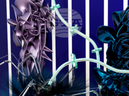 Австрийската артистка Дагмар Шюрер ще представи своята „Симбиотична синхроничност“ в Националния природонаучен музей при БАН