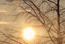 Слънчево и топло време ни очаква на 2 март