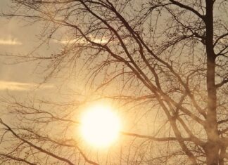 Слънчево и топло време ни очаква на 2 март