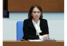 Надежда Неински осъor нападенията по граждански обекти в Азербайджан