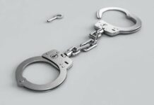 Полицията задържа мъж от село Ружица за убийството на две кучета