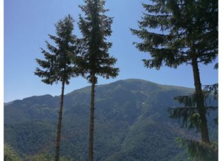 Условията за туризъм в планините