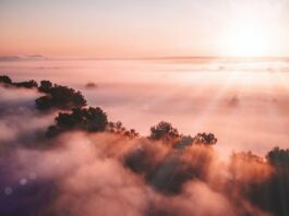 Слънчево време с температури между 13 и 18 градуса ни очаква на 15 март