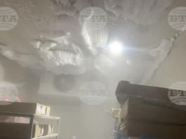 БАБХ затвори месопреработвателно предприятие в Монтана заради нарушения на хигиенните изисквания, съобщават от институцията