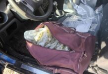 Над 1,3 кг марихуана са иззети в област Добрич при полицейска операция за предотвратяване на престъпления против политическите права