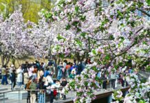 Китай отчита динамичен ръст на потреблението по време на почивните дни за празника Цинмин