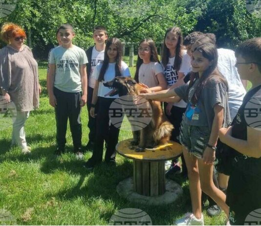 Шуменски ученици се запознаха с използването на служебни кучета в полицейската работа в рамките на програмата „Детско полицейско управление“